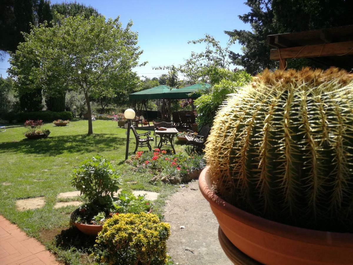 Vacanze Verde Mare - Beggi Casale Marittimo Dış mekan fotoğraf